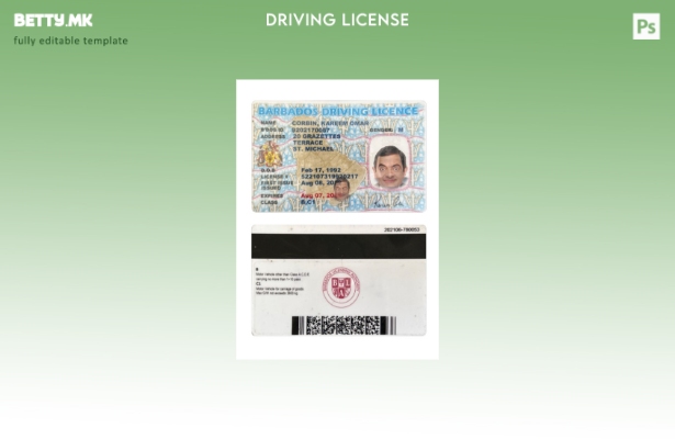 Шаблон за возачка дозвола од Барбадос во модерен стил